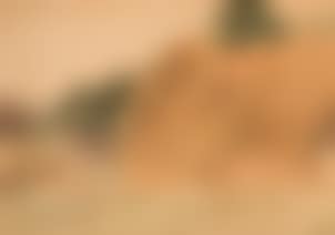 Felsige Landschaft mit Häusern (preview)
