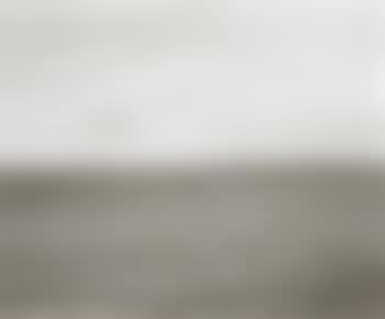 Tree, Colorado Prairie (preview)