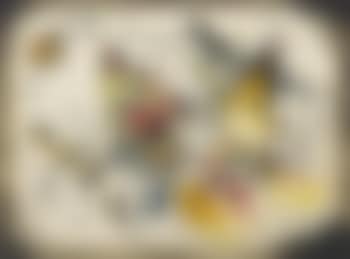 Composition no. 26 (preview)
