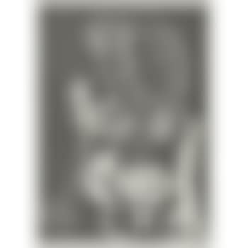 Buste De Femme (B. 1392) (preview)
