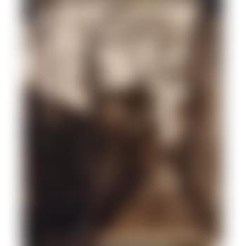 Ruelle Des Reculettes (preview)