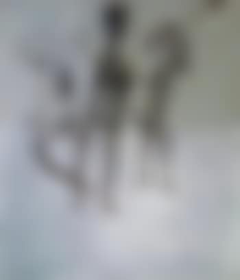 Le trouble (preview)