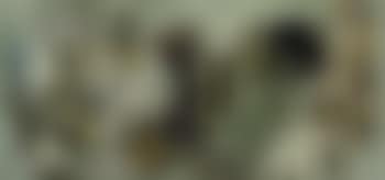 Amplessi (preview)