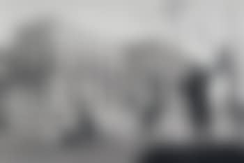 Urban blacks (preview)