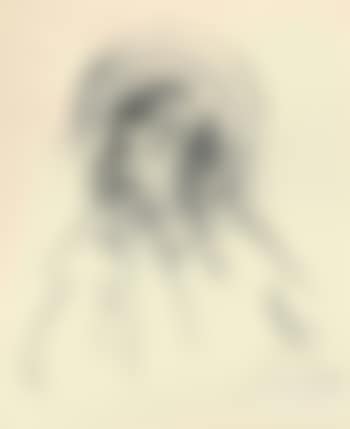 Sara wearing her bonnet and coat (Breeskin 198) (preview)