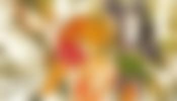 Les boxeurs (preview)