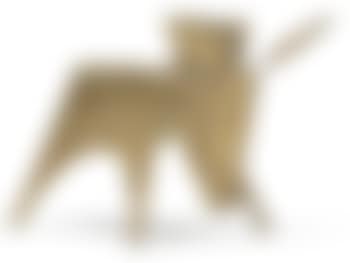 A donkey (preview)