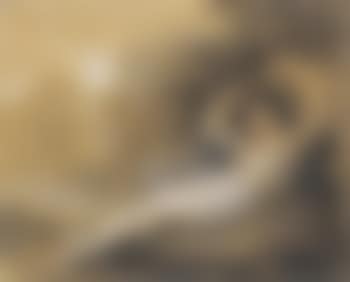 L'Ondine (preview)