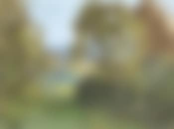 Paysage (preview)