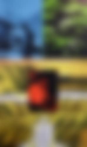 New Zealand eulogy (preview)