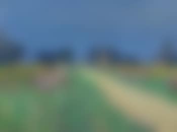 A Canterbury Road (preview)