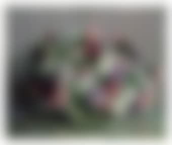 Asters (preview)