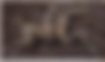 Flare (preview)