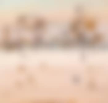 Grass Landscape (preview)