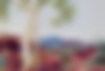 Ghost Gum, Mount Zeil (preview)