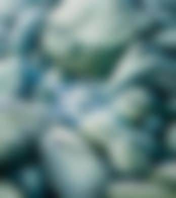 Rockpool (preview)