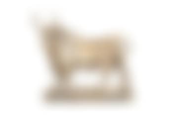 Taureau Romain (preview)