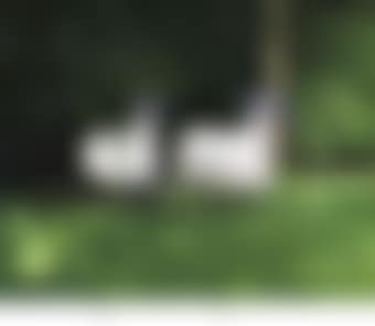 Sheep (preview)