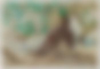 A West Indian boy (preview)