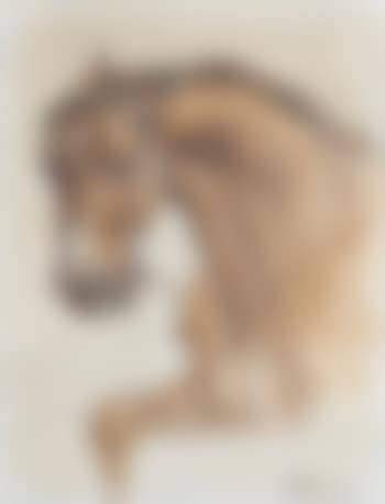 Study of a bay horse (preview)