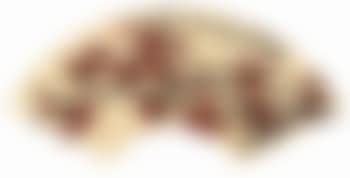 Red plum blossoms (preview)