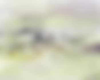 15.7.93 (preview)