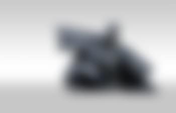 Single whip (preview)