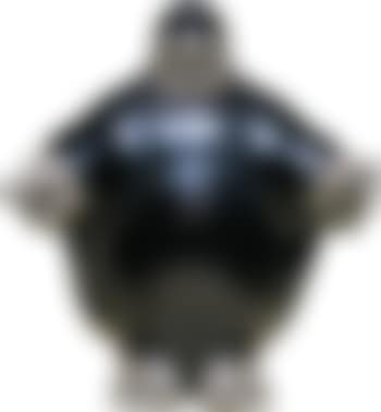 Avalokitesvara (preview)