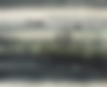 Reeds and wild geese (preview)