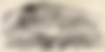Landscript (preview)