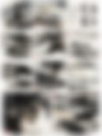 Landscape painting album (preview)