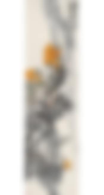 Fruits (preview)