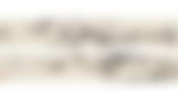 Landscape (preview)