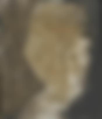 Head (preview)