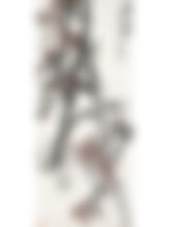 Red plum blossoms (preview)