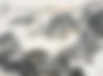 Landscape (preview)