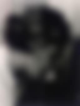O.T. (I.B.) (preview)