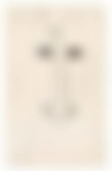 Head of a Horse (preview)