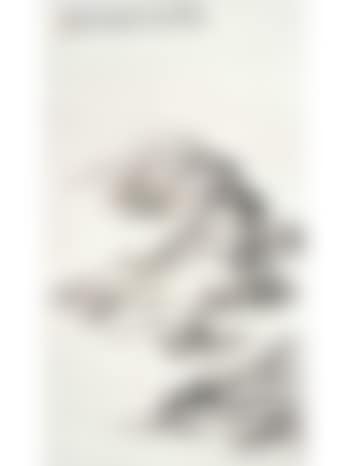 Landscape (preview)
