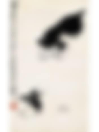 Cat staring at the butterfly (preview)