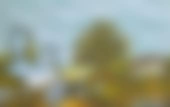 Bird and Grenade (preview)