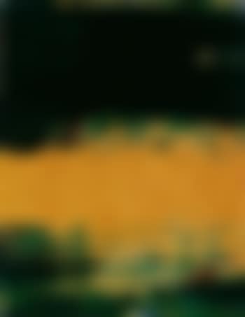Small fish (preview)