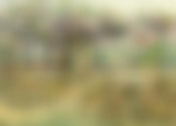 Wisteria (preview)