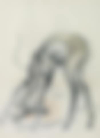 Rehbock mit gesenktem Kopf (preview)