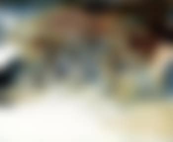 30.11.74 (preview)