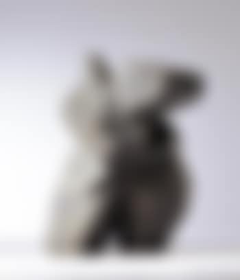 Taichi series (preview)