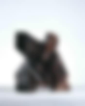 Taichi series-single whip (preview)