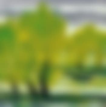 Green willows, west lake (preview)