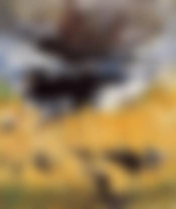 Manifestation (preview)