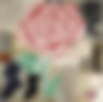 The rose of Santa Cruz #2 (preview)
